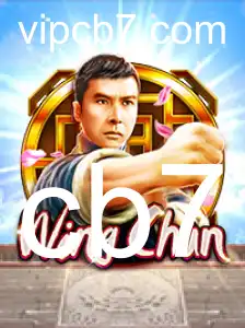 WingChun: Uma Introdução ao Jogo e Suas Regras